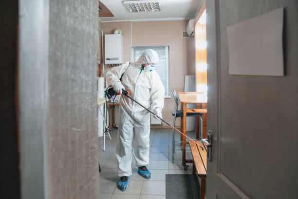 Best Air Quality Testing for Mold Spores  in Woodville, TX