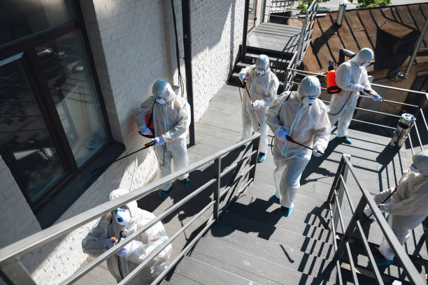 Mold Documentation for Insurance Claims in Woodville, TX