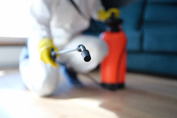 Mold Remediation for Rental Properties in Woodville, TX