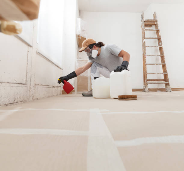  Woodville, TX Mold Removal Pros